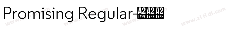 Promising Regular字体转换